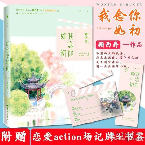 盐和避难所